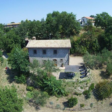 Fattoria Capobianco Villa Montefiascone Buitenkant foto